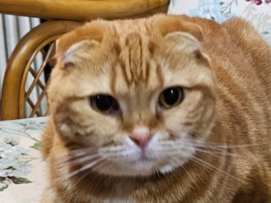 はなちゃん はなちゃん