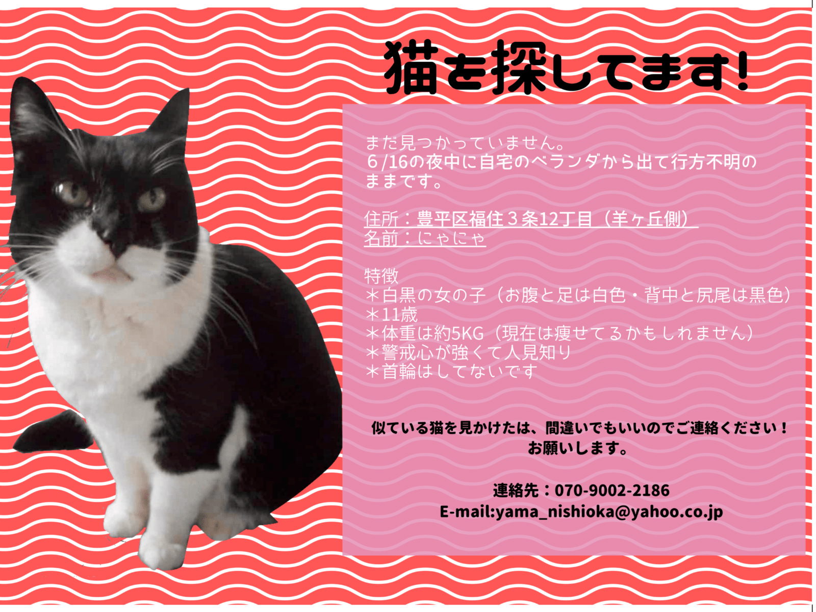 にゃにゃちゃん にゃにゃちゃん