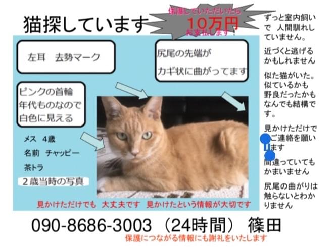 チャッピーちゃん チャッピーちゃん