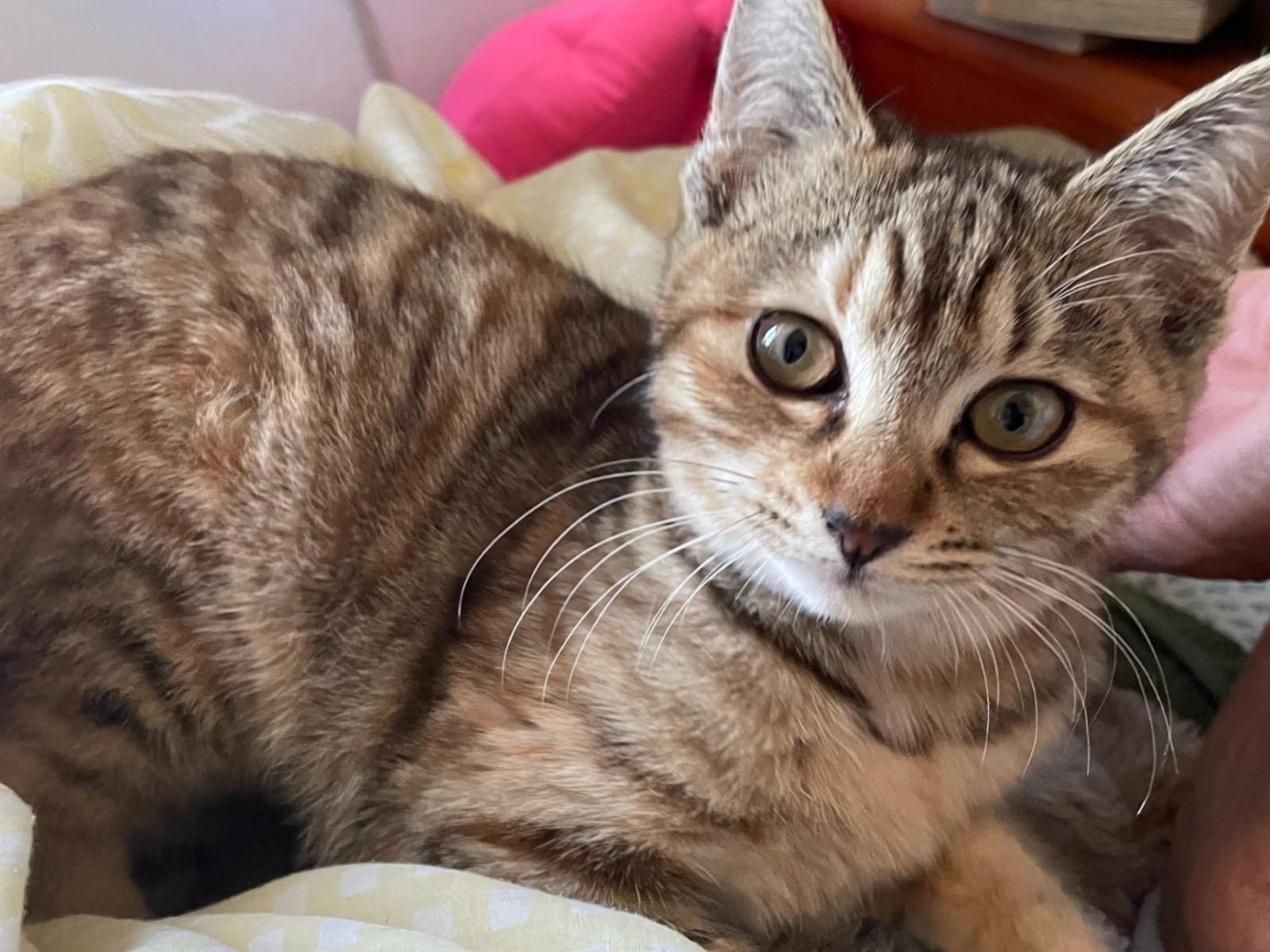 しーちゃん しーちゃん