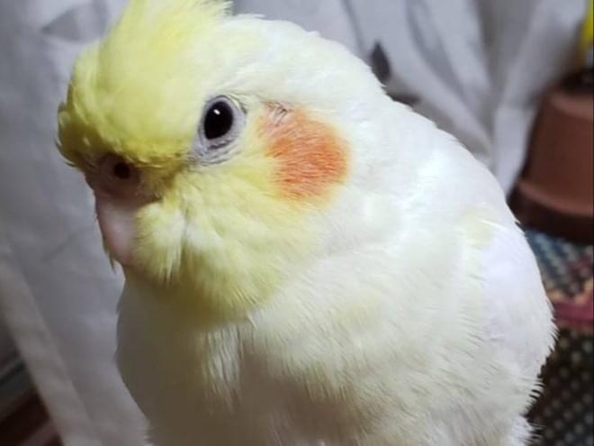 ルンルンちゃん ルンルンちゃん