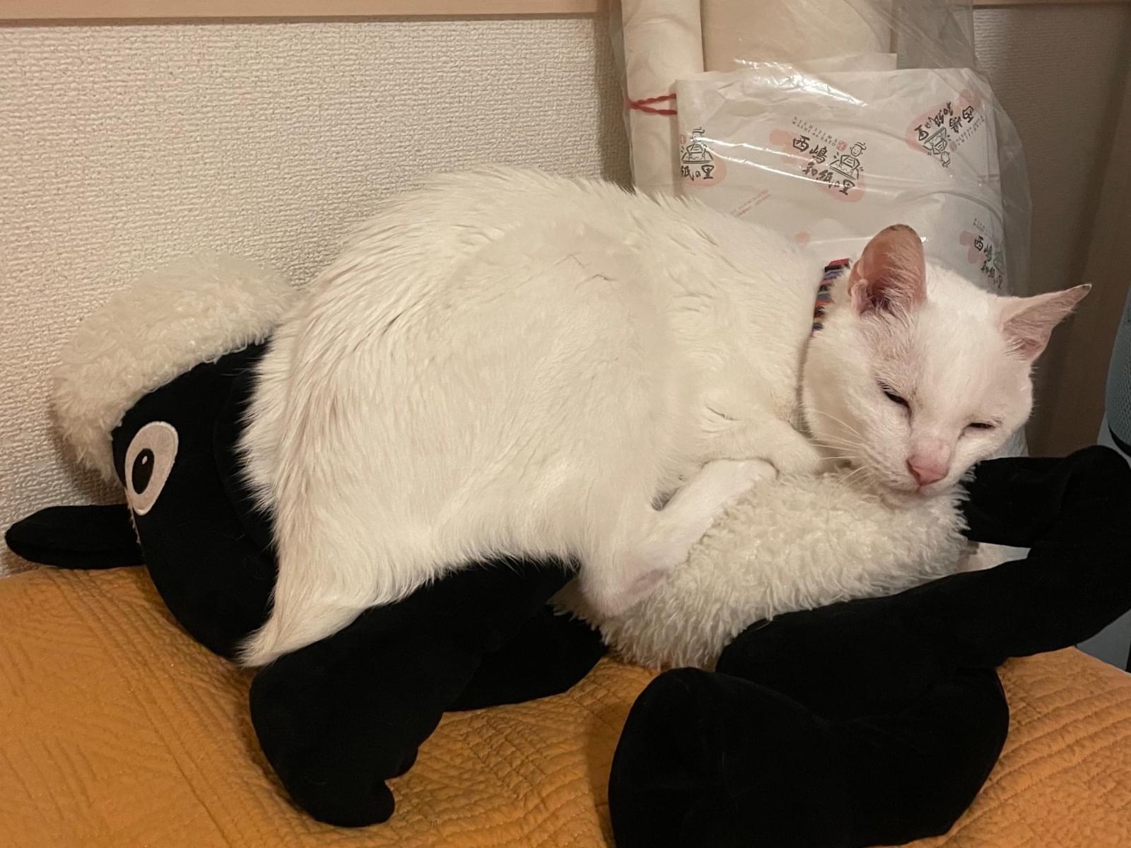 リンちゃん リンちゃん