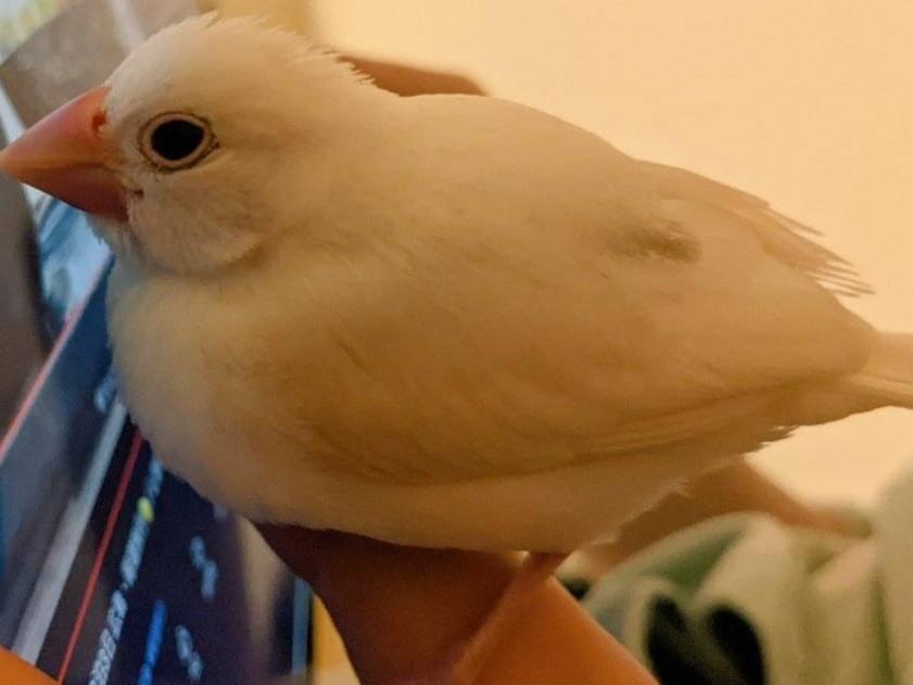 ちのちゃん ちのちゃん