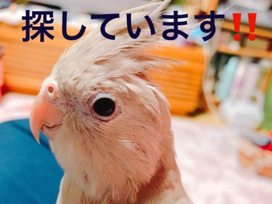そらちゃん そらちゃん