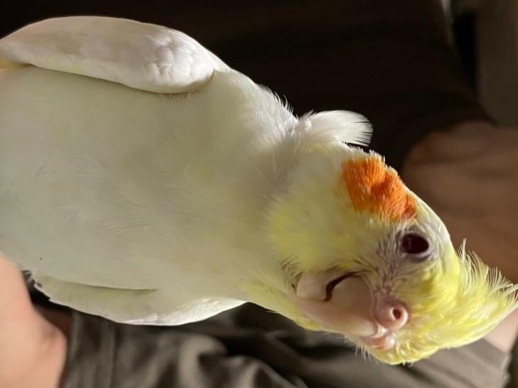 あっちゃん あっちゃん