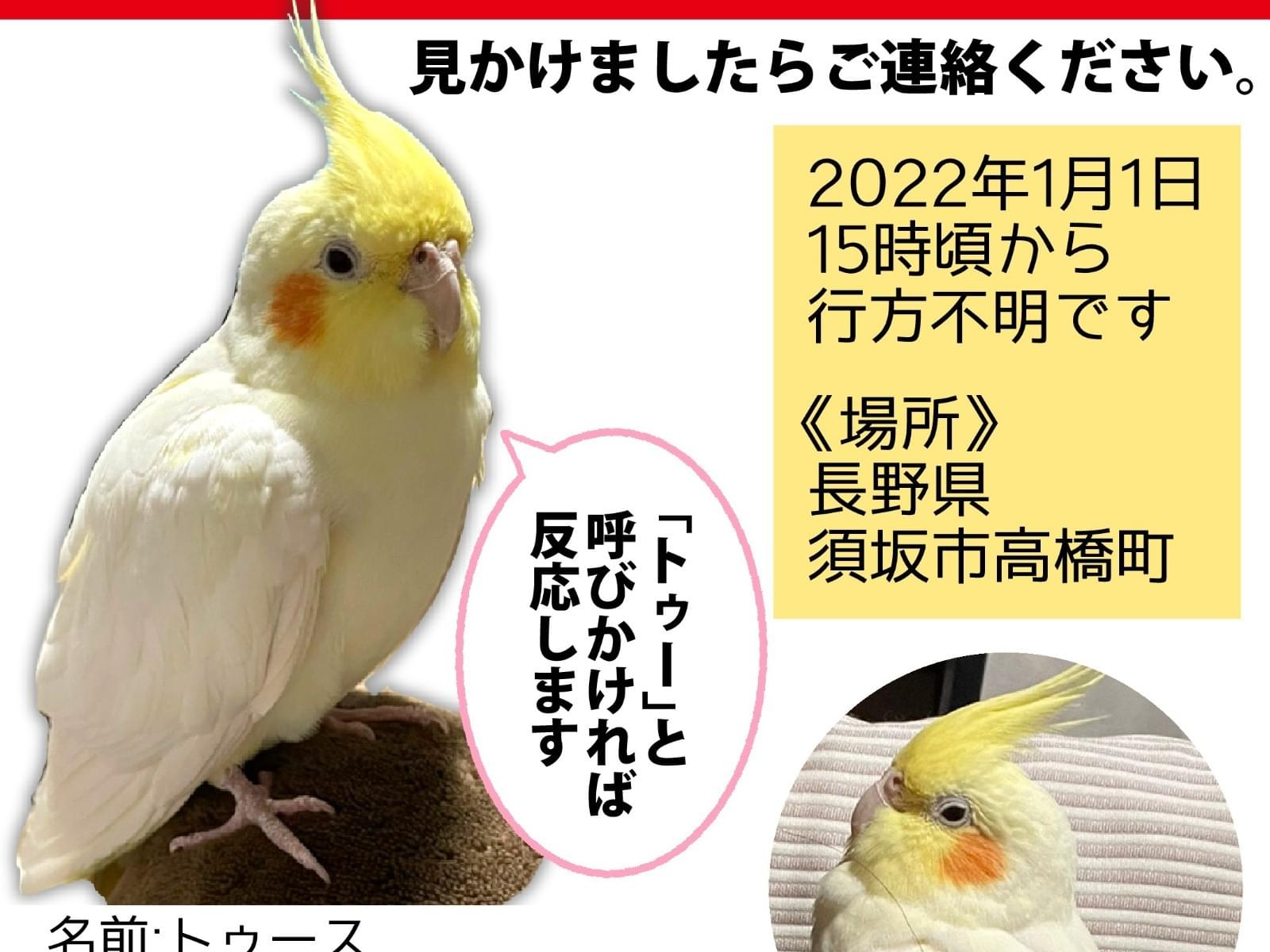 トゥースちゃん トゥースちゃん