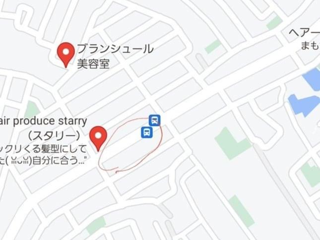目撃された鳥 目撃された鳥