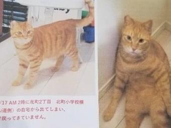 ちゃこちゃん ちゃこちゃん