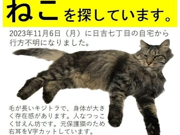 トントンちゃん トントンちゃん