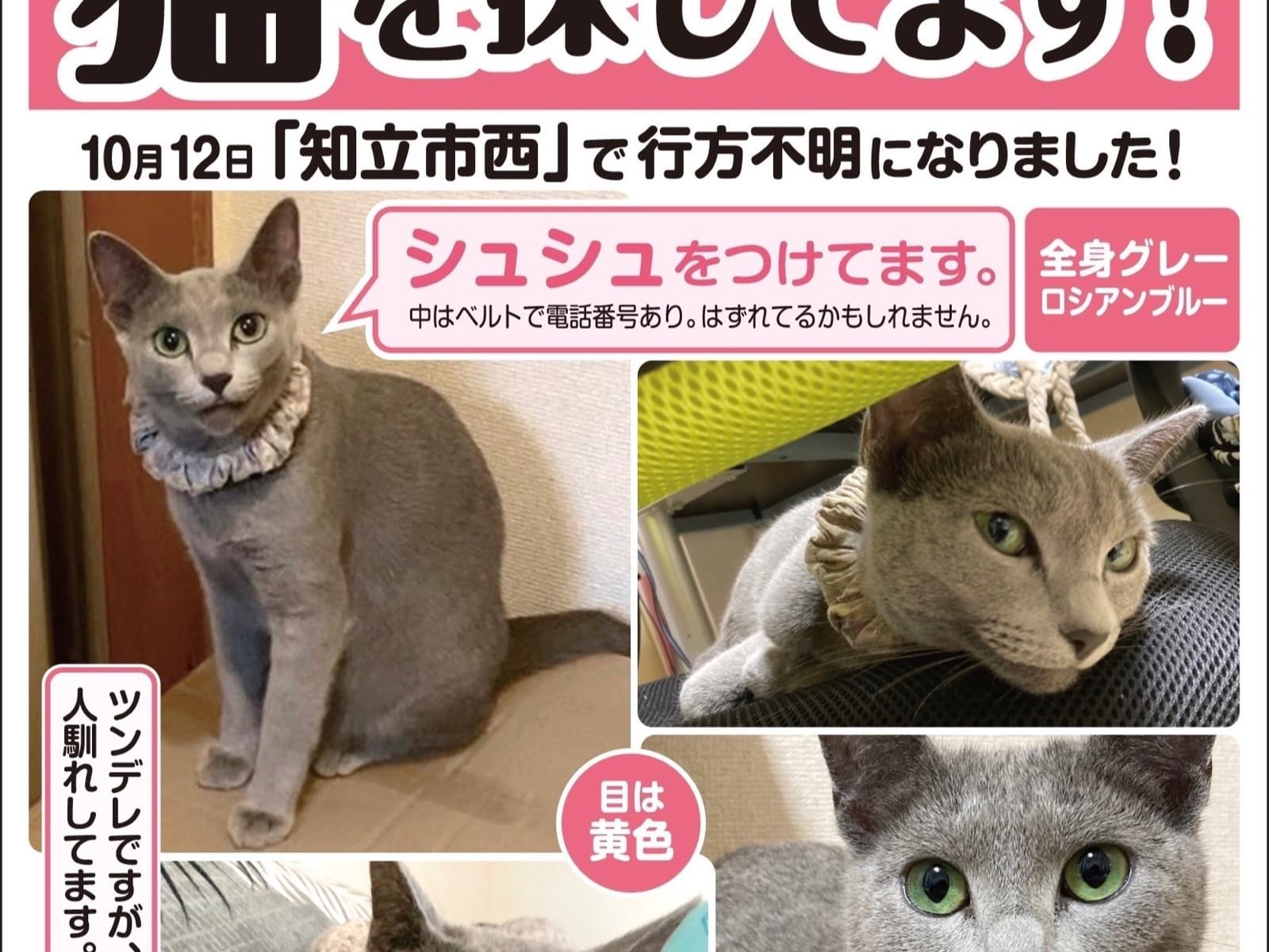 ぶるぅちゃん ぶるぅちゃん