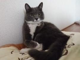 こだまちゃん こだまちゃん