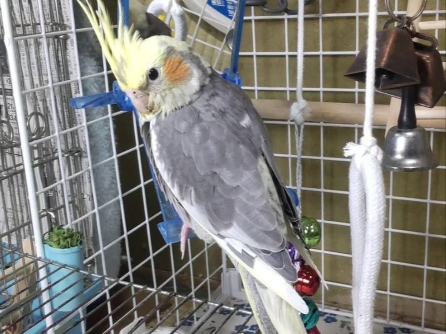 のあちゃん のあちゃん