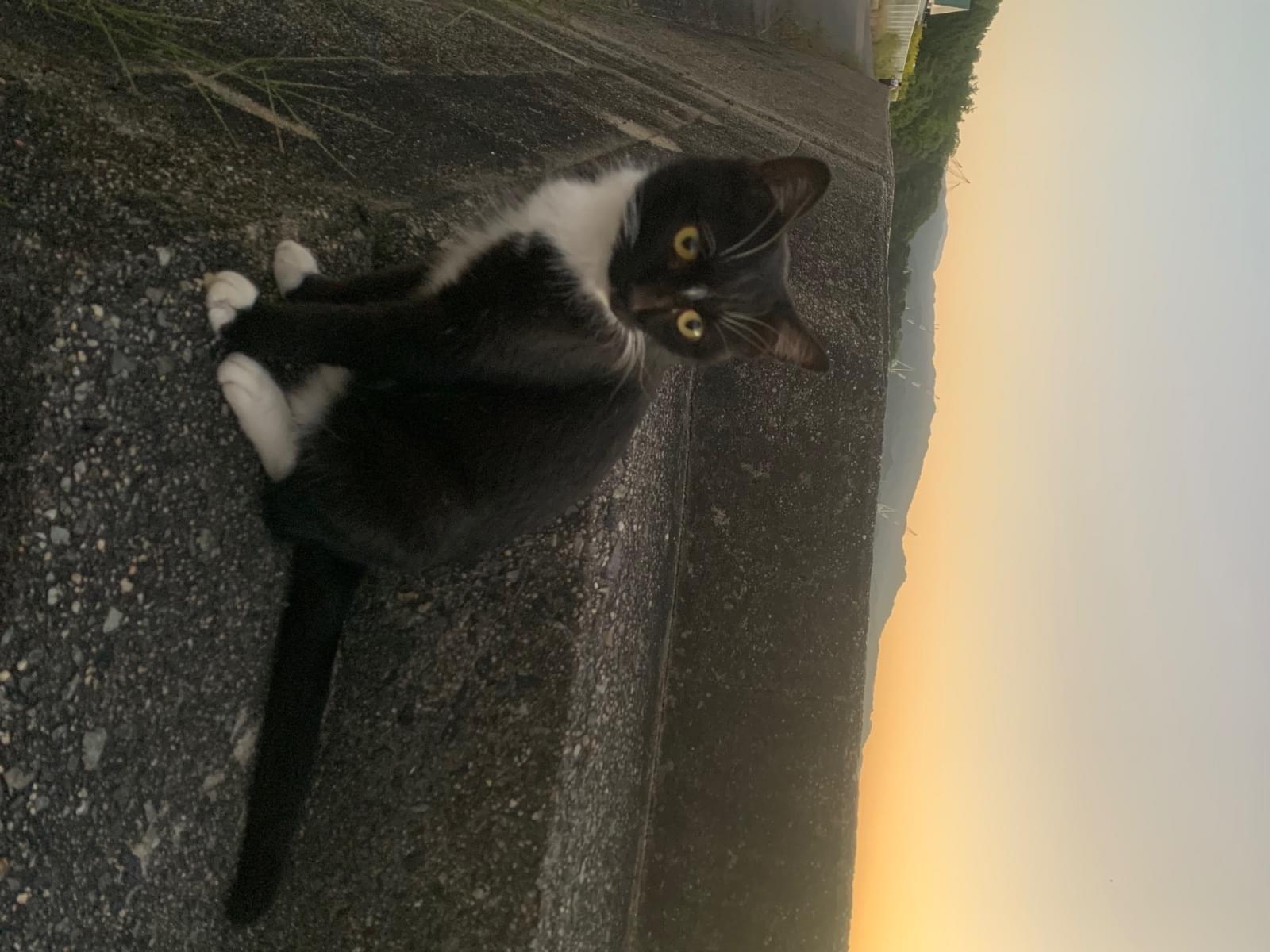 ナミちゃん ナミちゃん