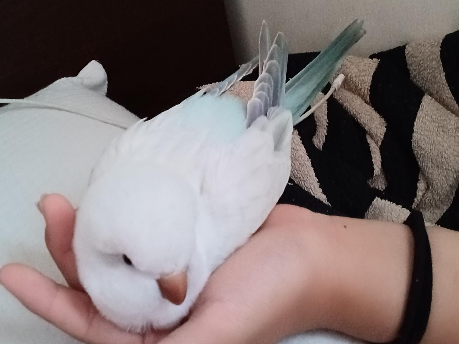 フジちゃん フジちゃん