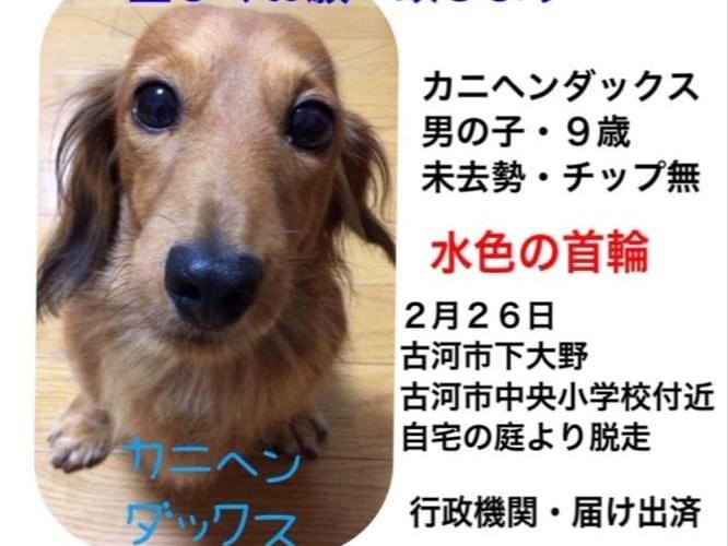 レックちゃん レックちゃん