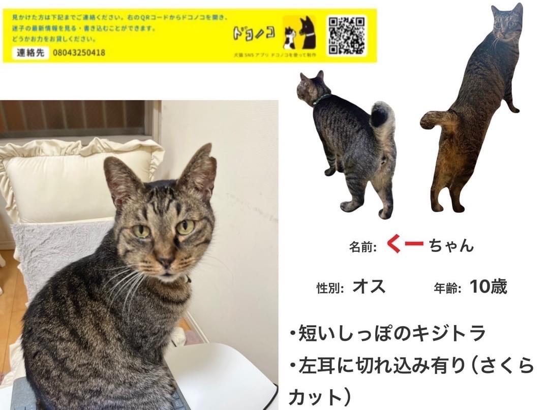 くーちゃん くーちゃん