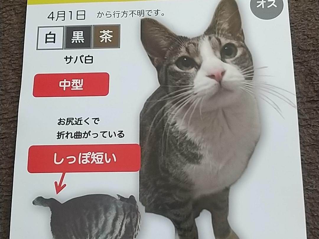 ロンロンちゃん ロンロンちゃん