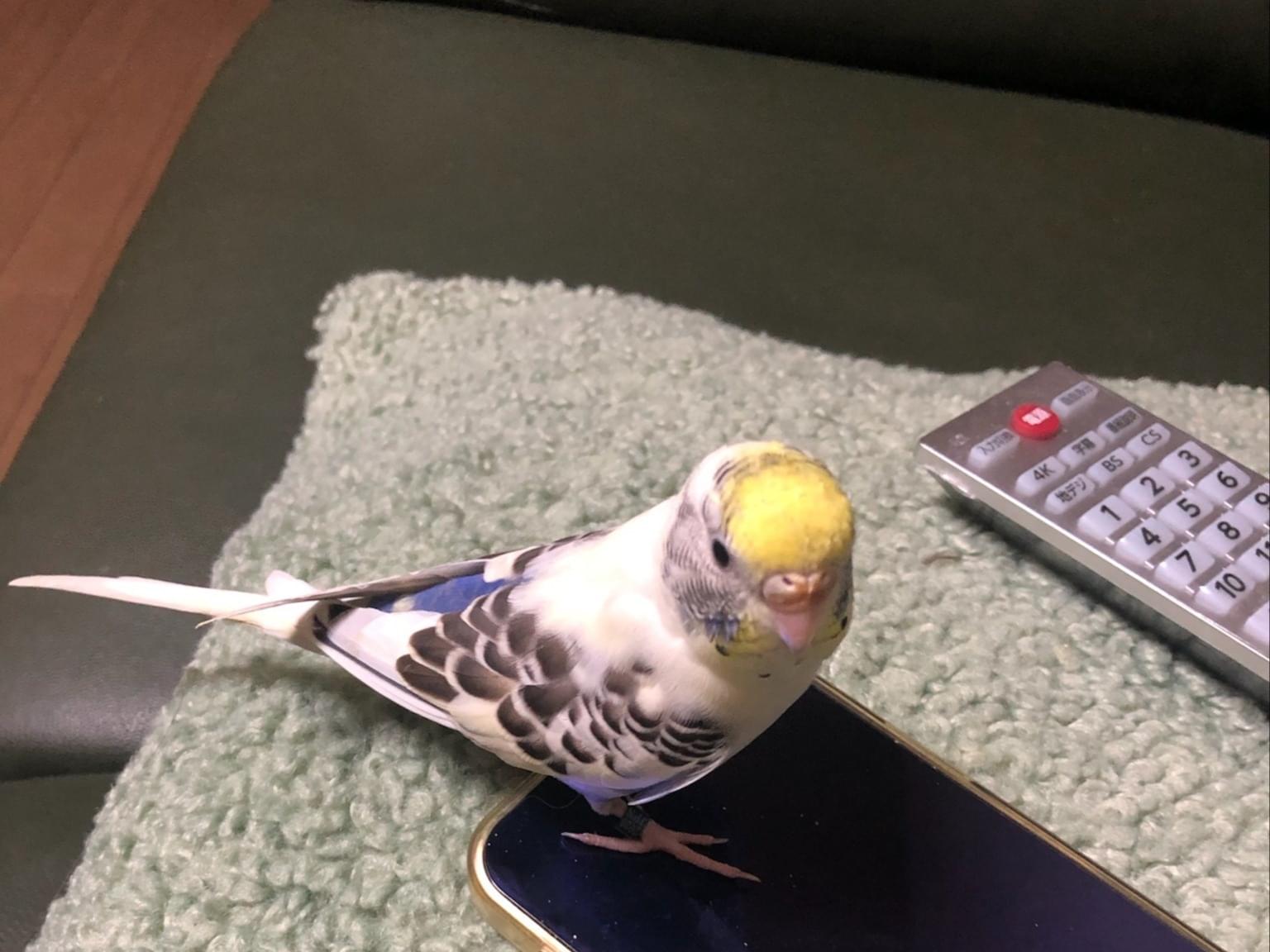 あっちゃん
