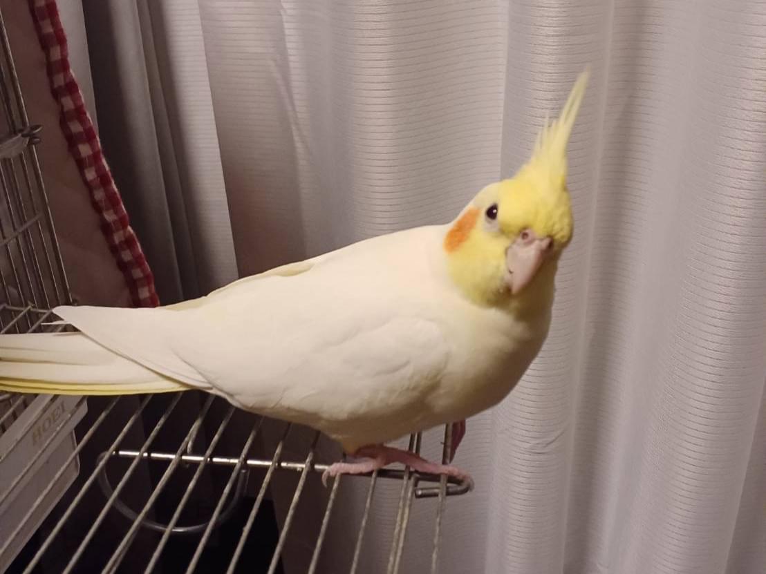 アイちゃん アイちゃん