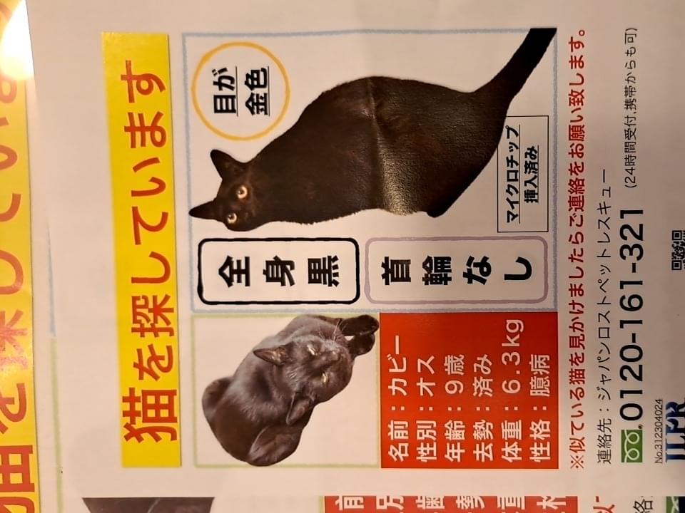 かびちゃん かびちゃん