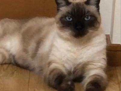 みるくちゃん みるくちゃん