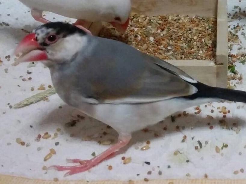なーこちゃん なーこちゃん