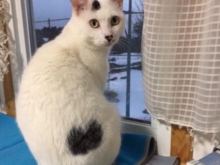 たらちゃん たらちゃん
