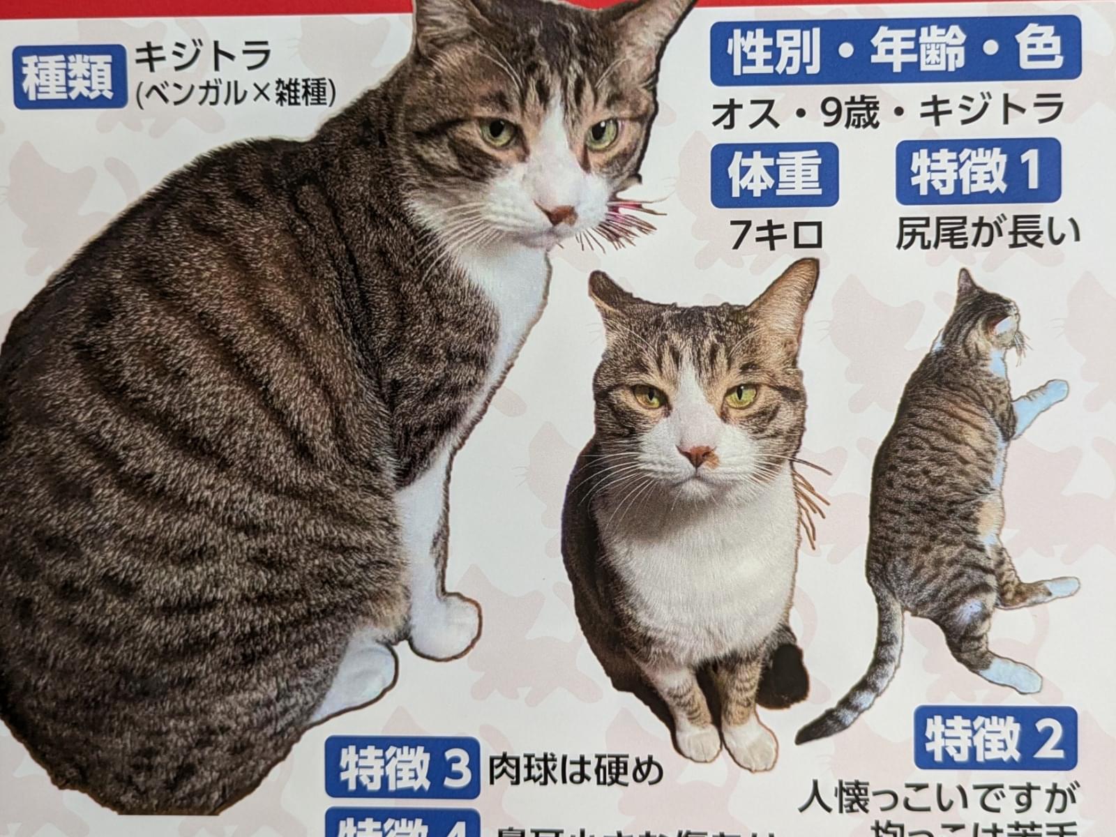 ココちゃん ココちゃん