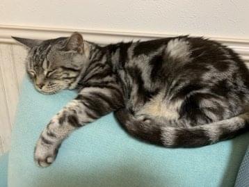 はるかちゃん はるかちゃん