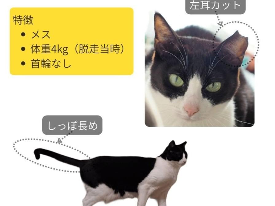 ハチちゃん ハチちゃん