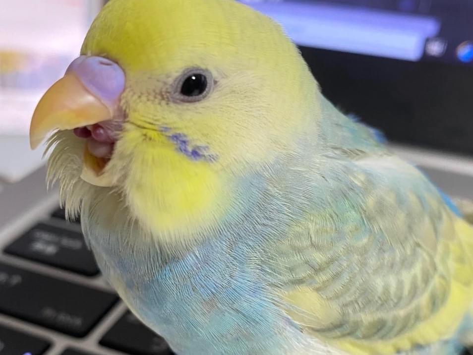 れいちゃん れいちゃん