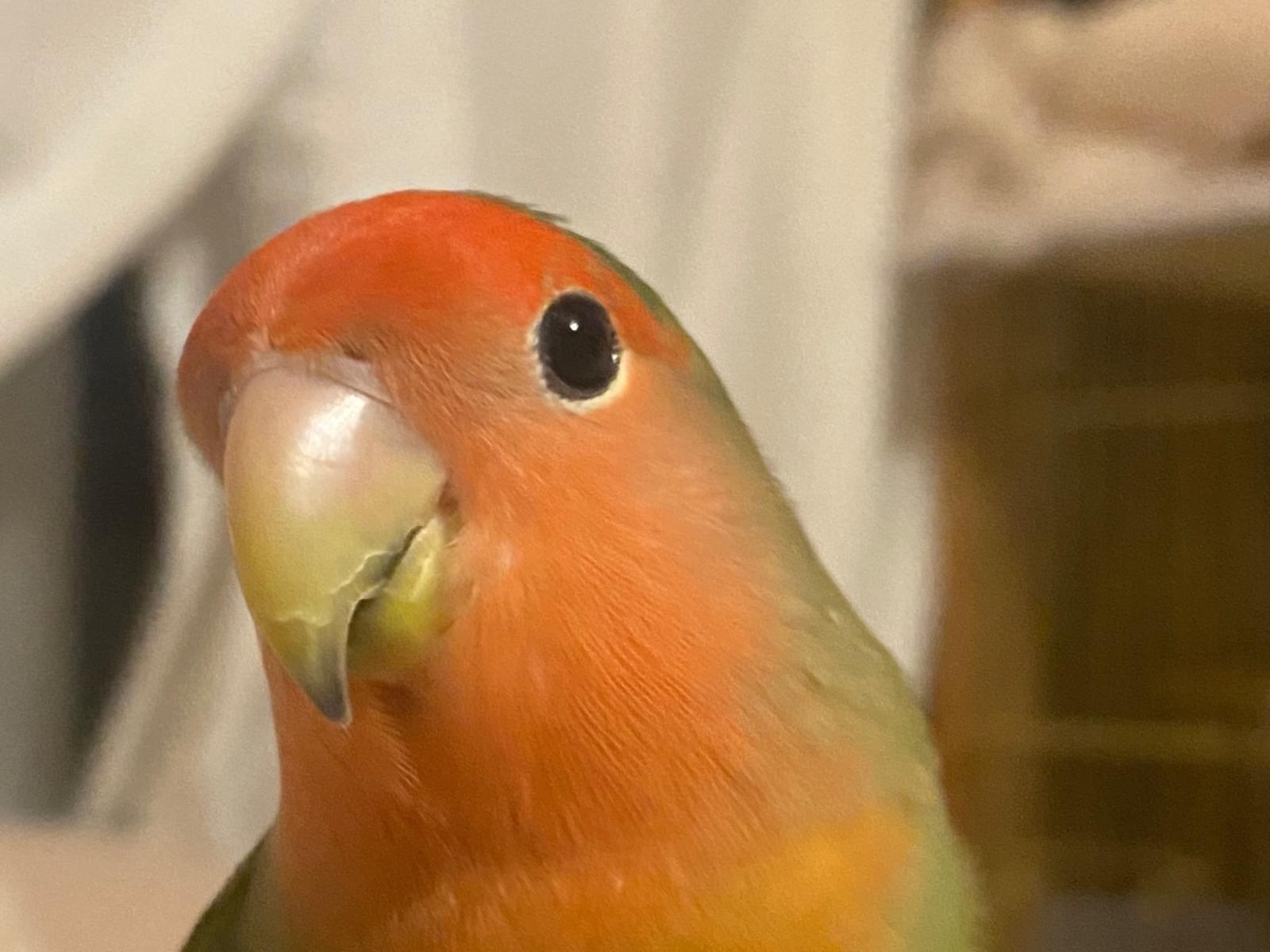 まんりちゃん まんりちゃん