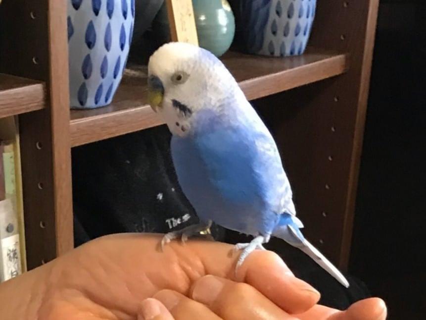 こうちゃん こうちゃん