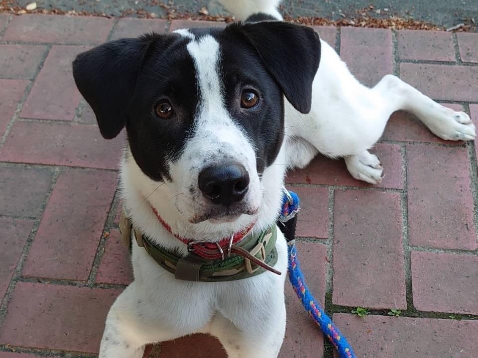 てくちゃん てくちゃん