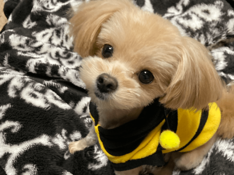 サランちゃん サランちゃん