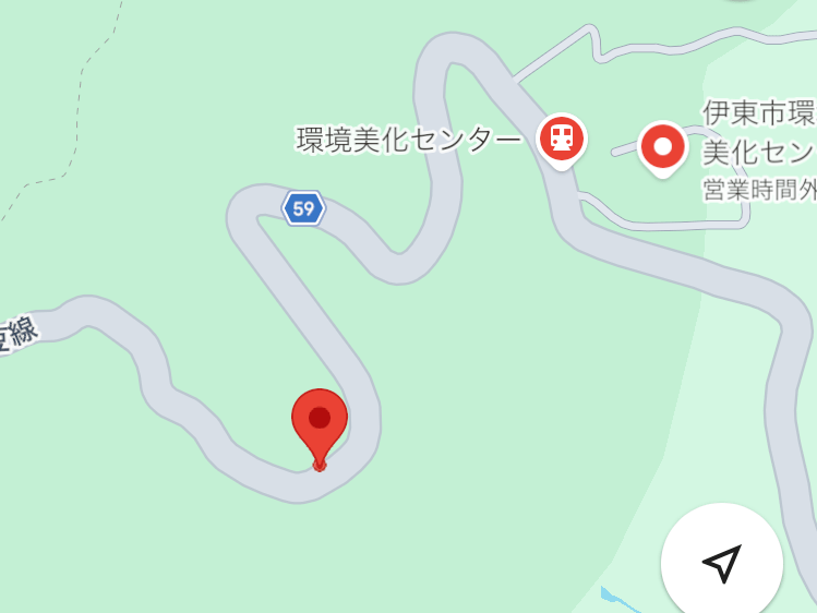 目撃された犬
