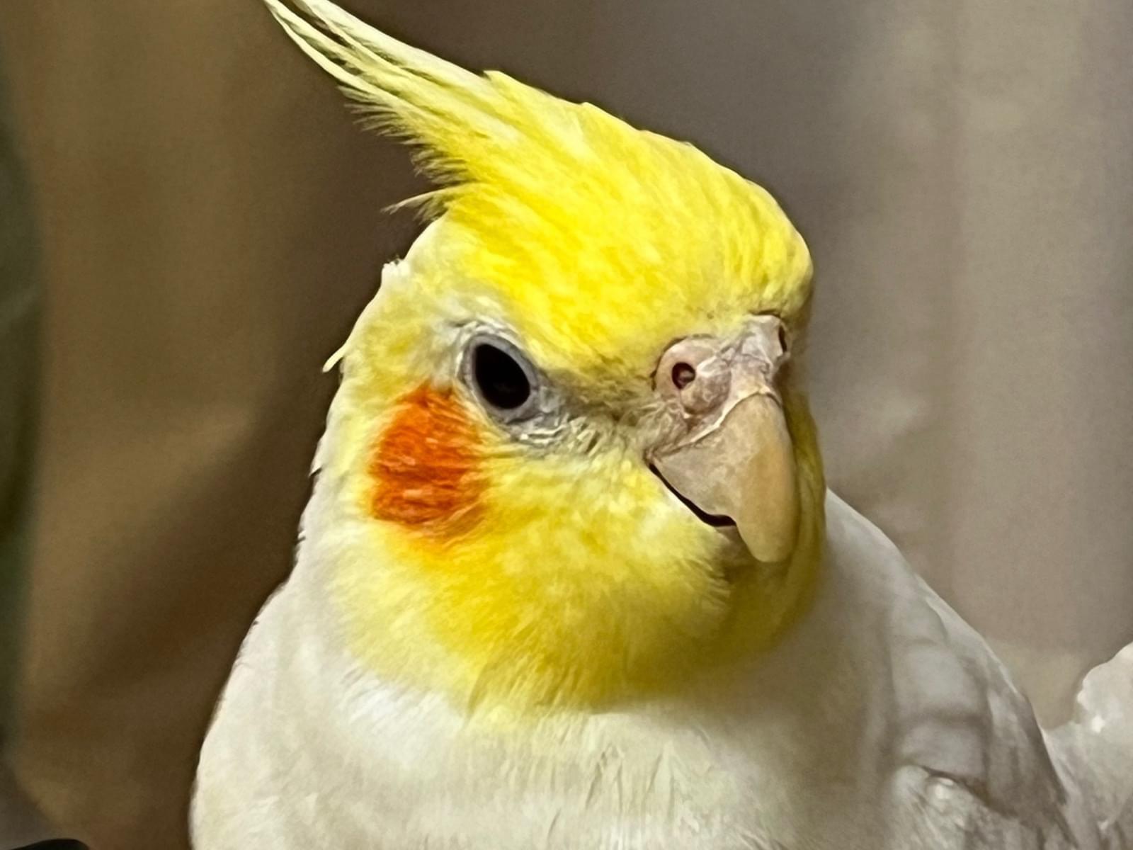 ゆづちゃん ゆづちゃん