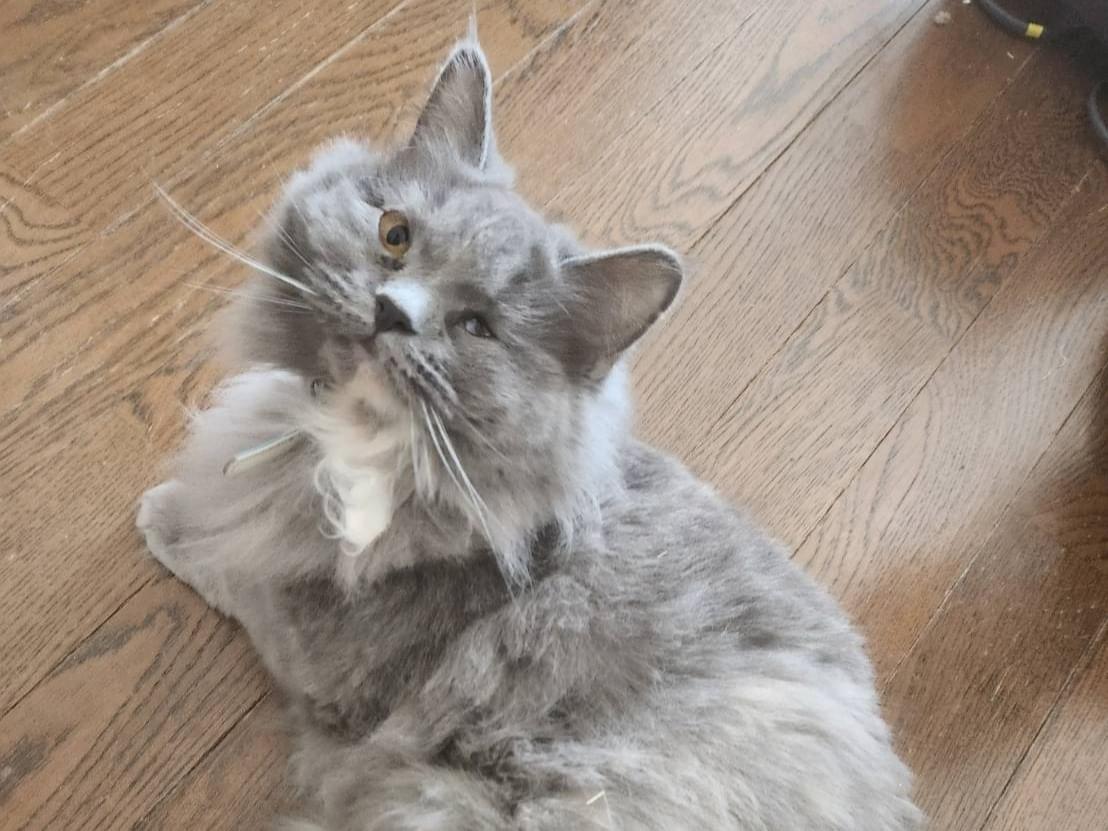 いちちゃん いちちゃん