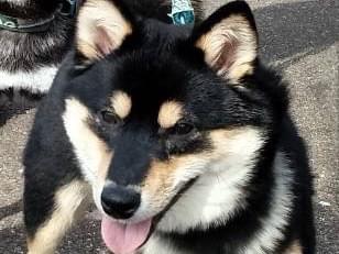 克典ちゃん 克典ちゃん
