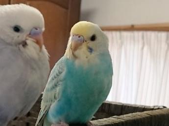 うめちゃん うめちゃん