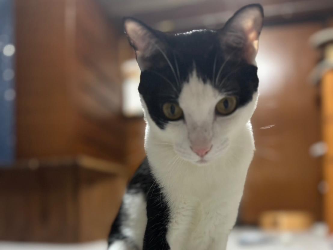 マルちゃん マルちゃん