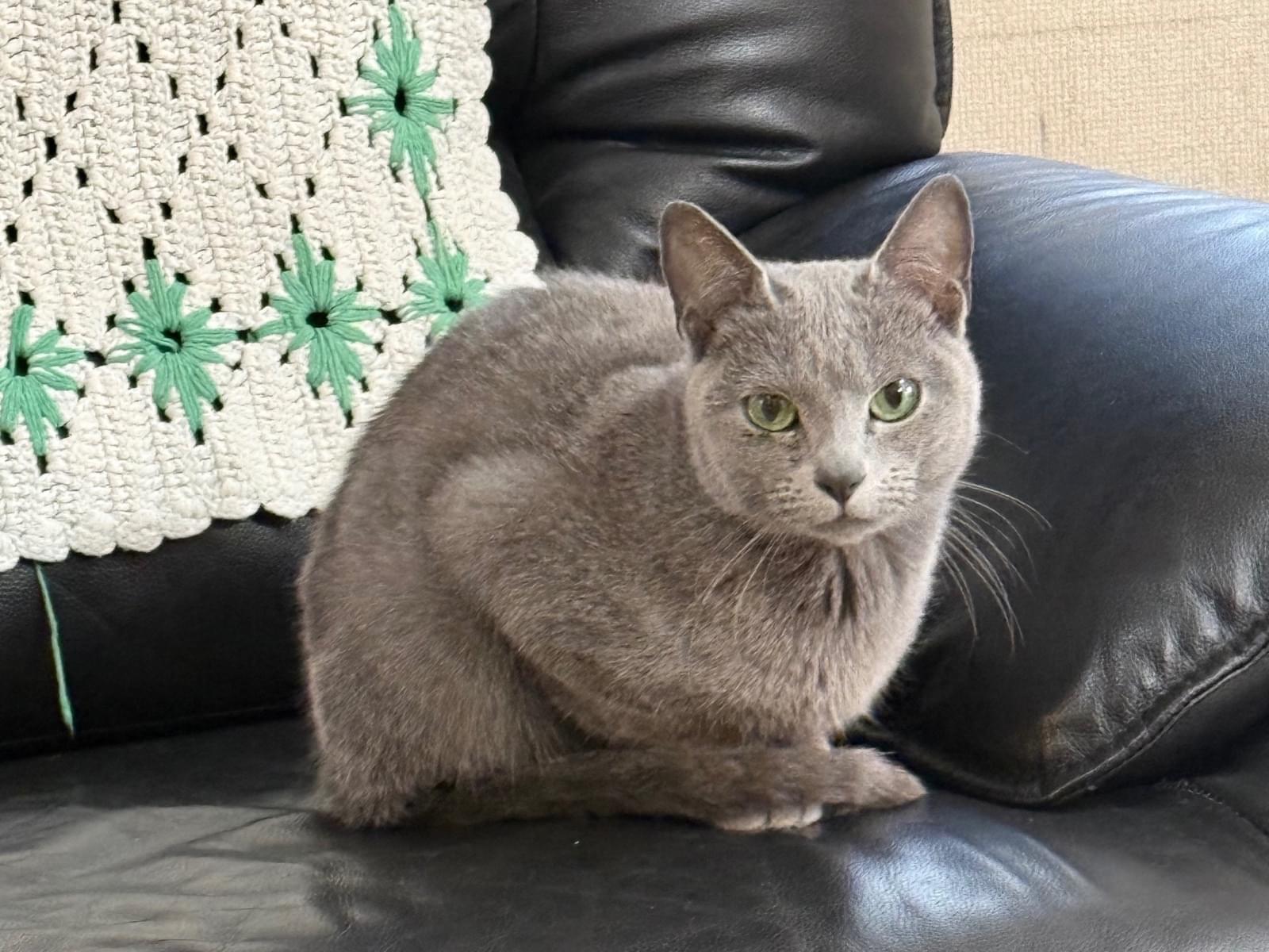 ネネちゃん ネネちゃん