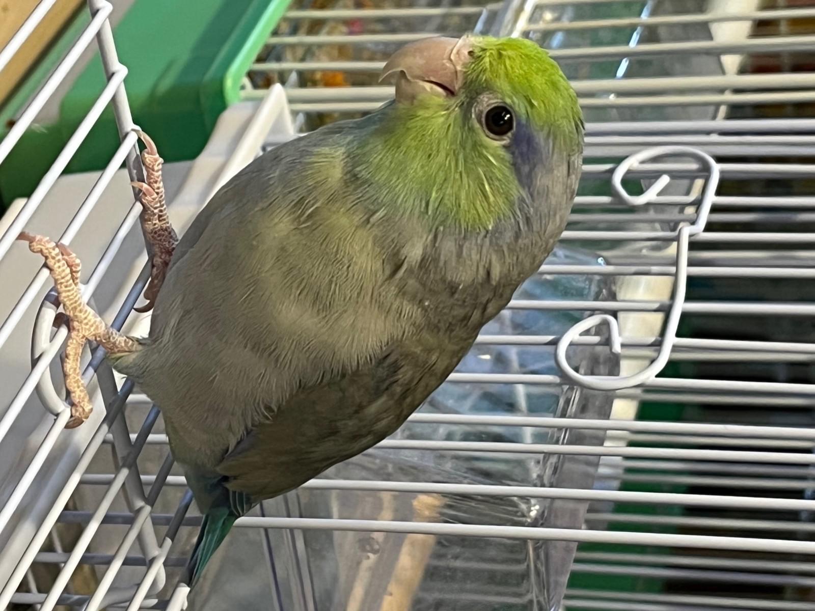 はるちゃん はるちゃん