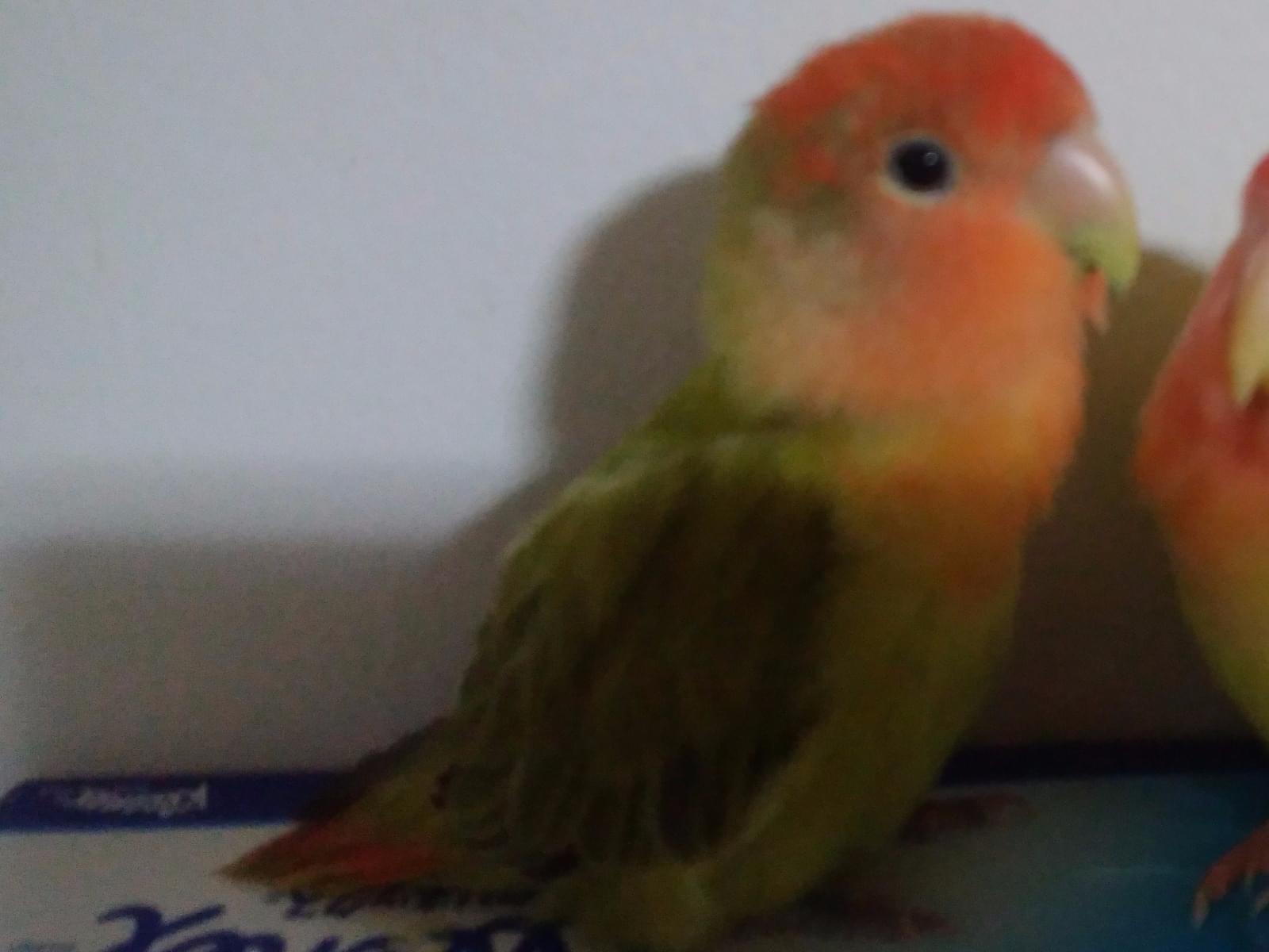 うめちゃん うめちゃん