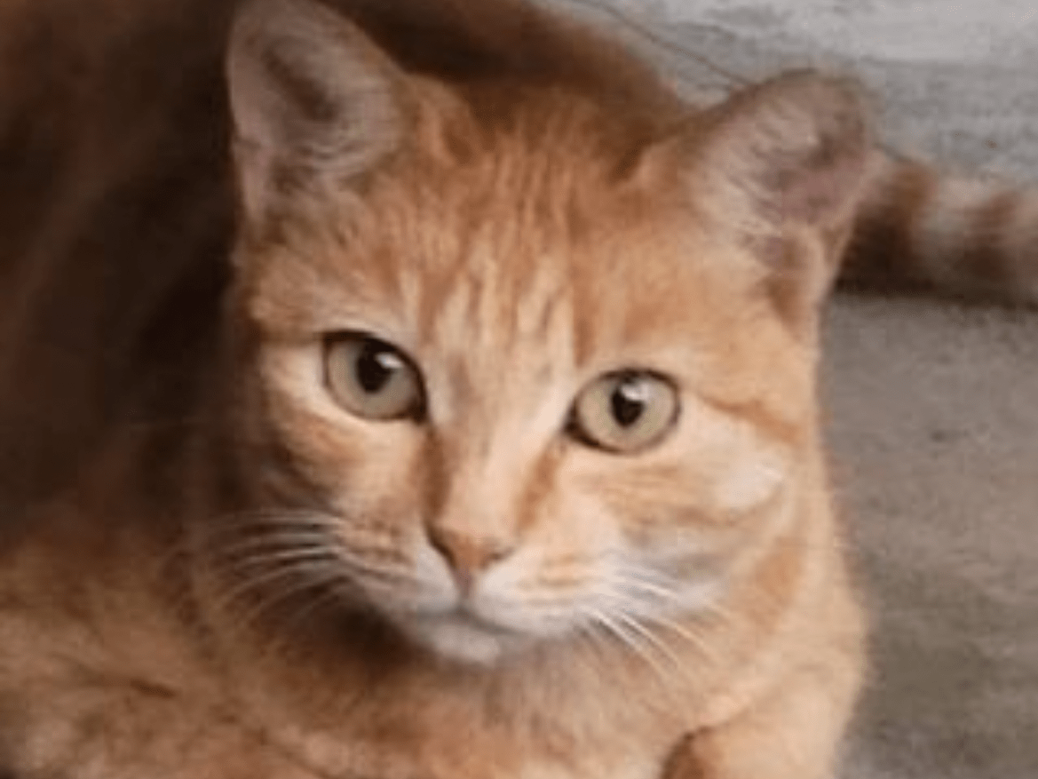 ミルクちゃん ミルクちゃん