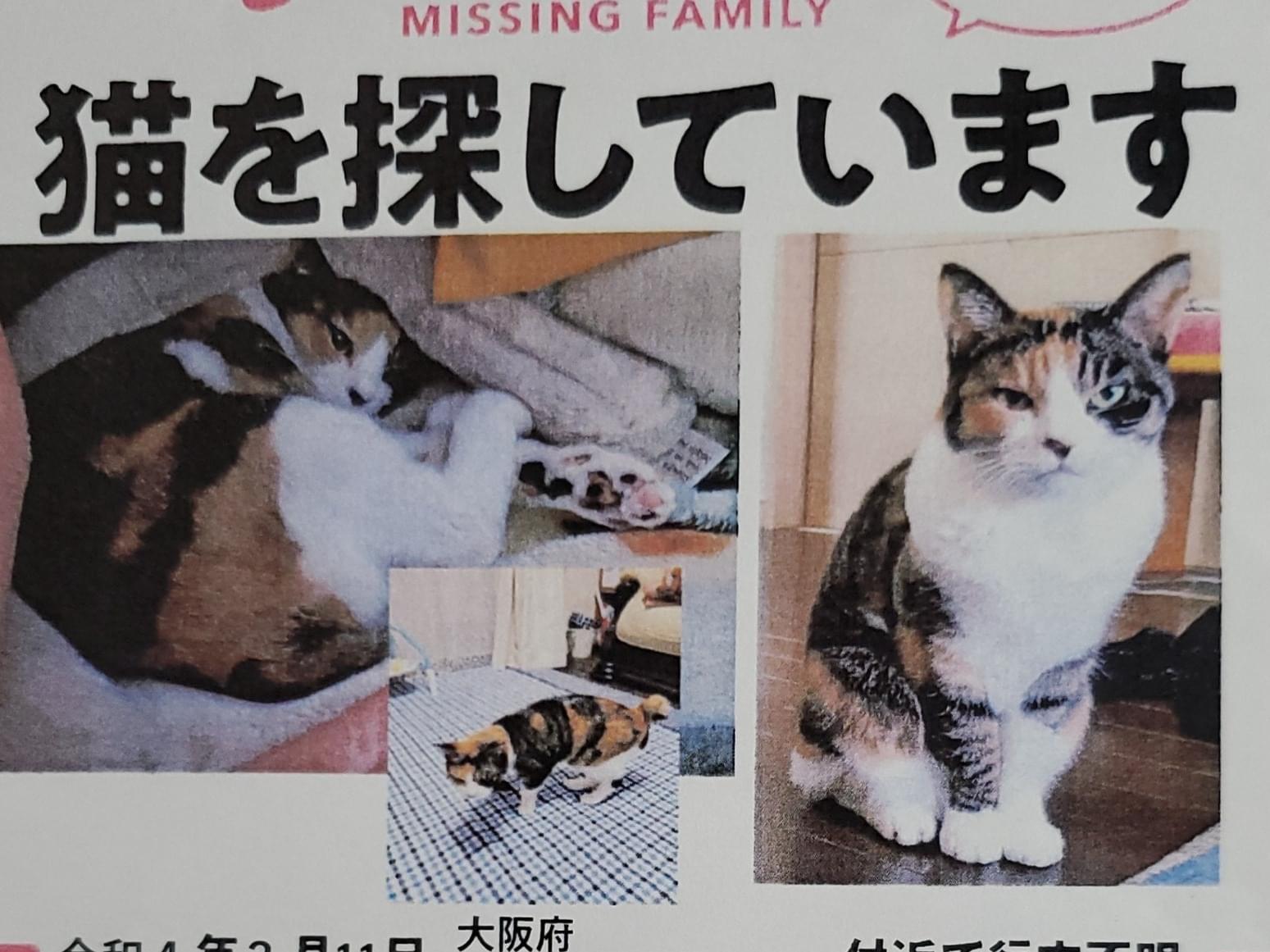 ちび子ちゃん ちび子ちゃん