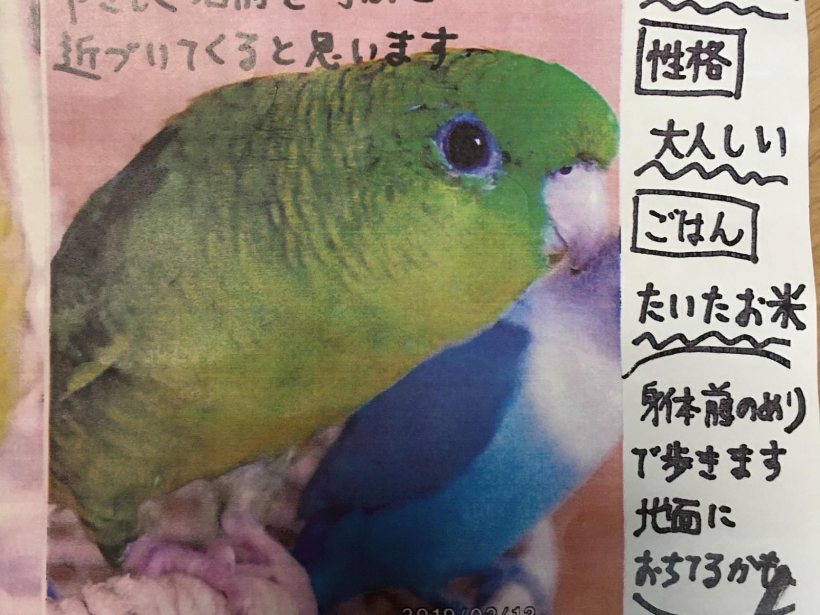 クーちゃん クーちゃん