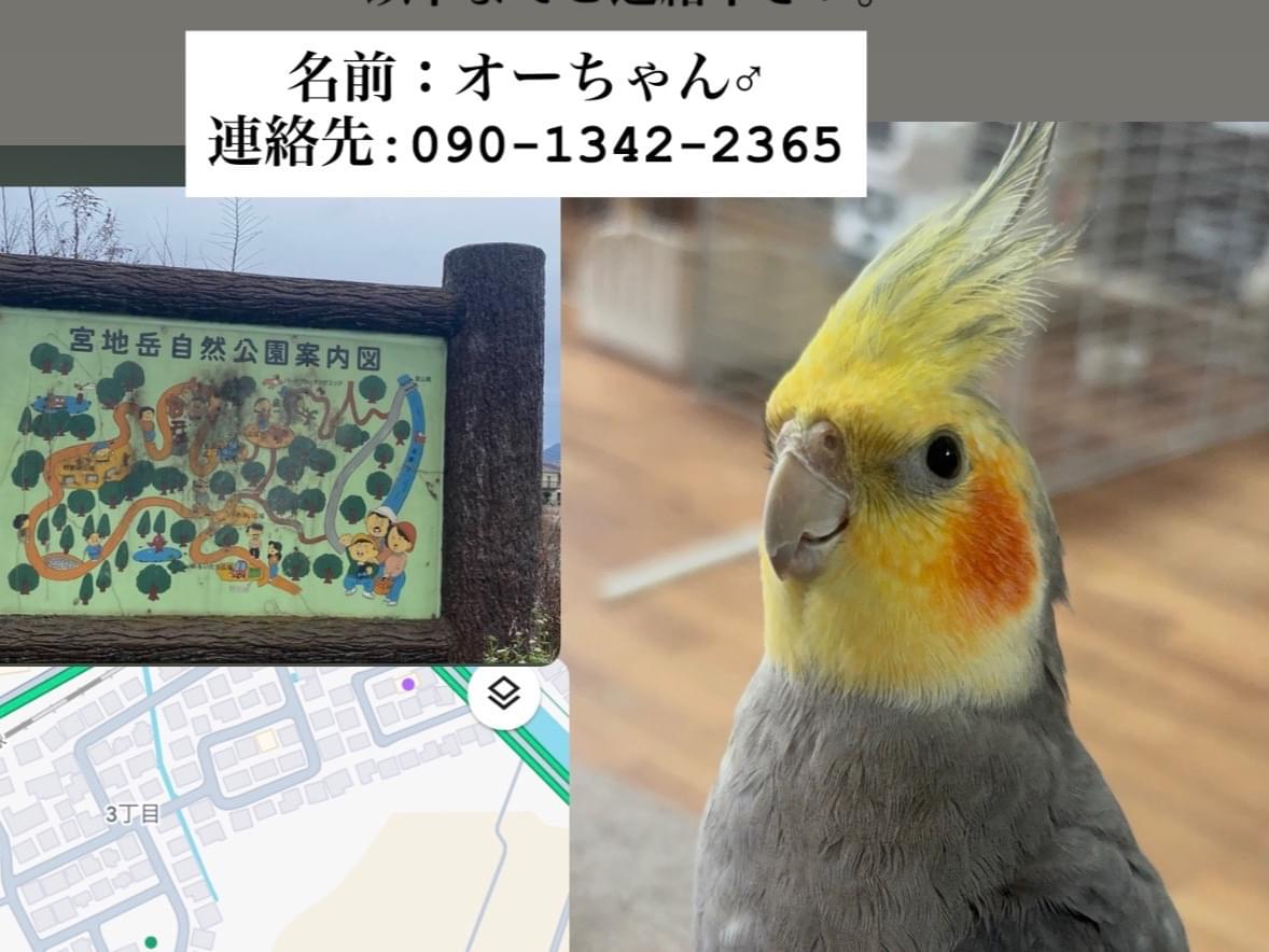 オーちゃん オーちゃん