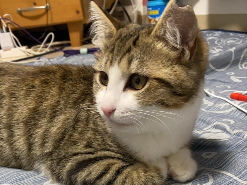 こはるちゃん こはるちゃん