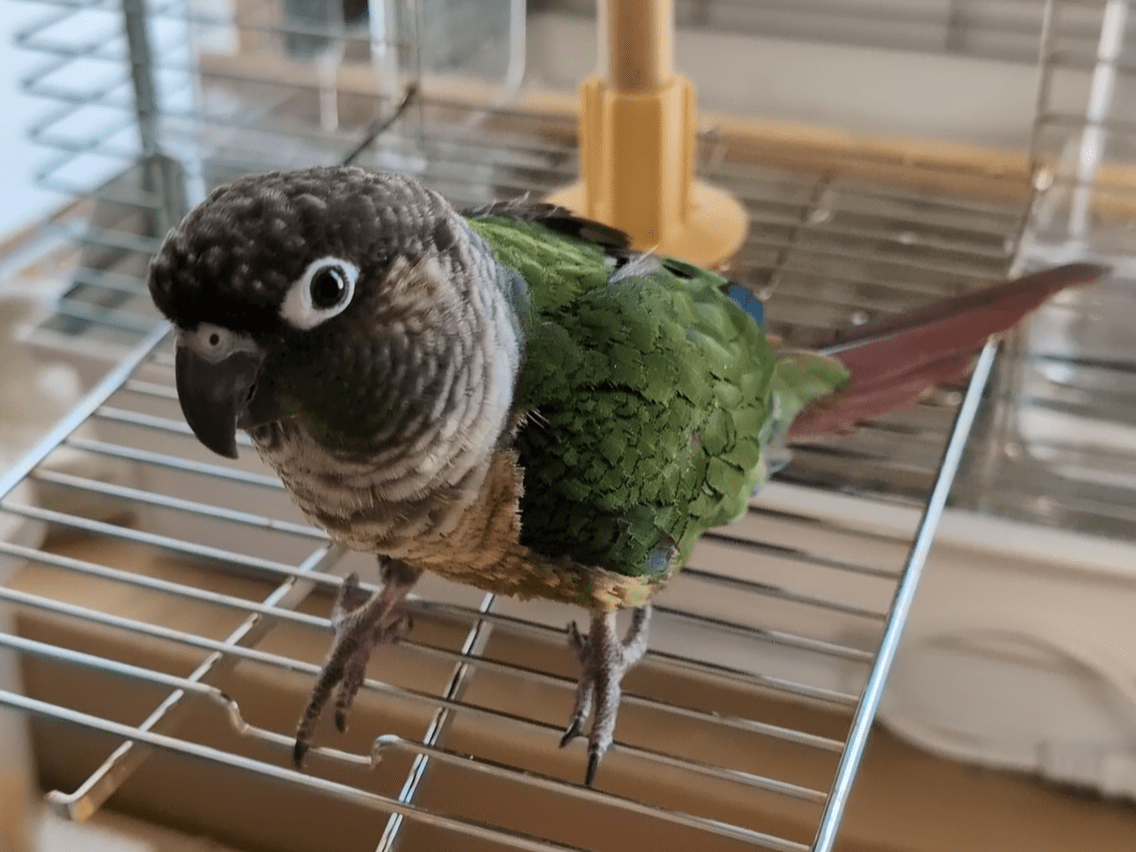 アオちゃん アオちゃん